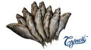 Оптовые поставки рыбы и рыбной продукции по киеву и всей украине